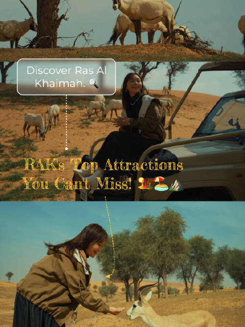 阿联酋拉斯海玛融合山海沙三重奇景，免签宝藏地玩法奢华