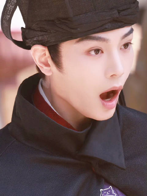 哦莫～～眨巴眨巴小眼睛的漂亮小猫