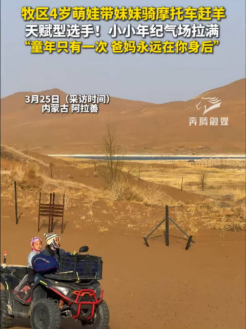 内蒙古4岁萌娃骑摩托带妹妹赶羊
