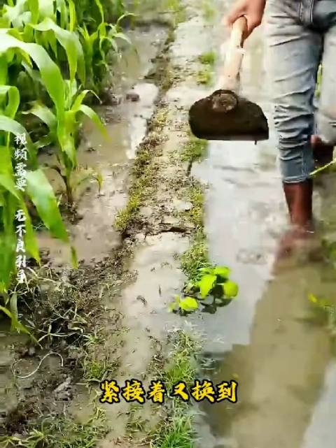 这里是巴基斯坦，当地人用卡车或客车轮胎，炼制成为油！