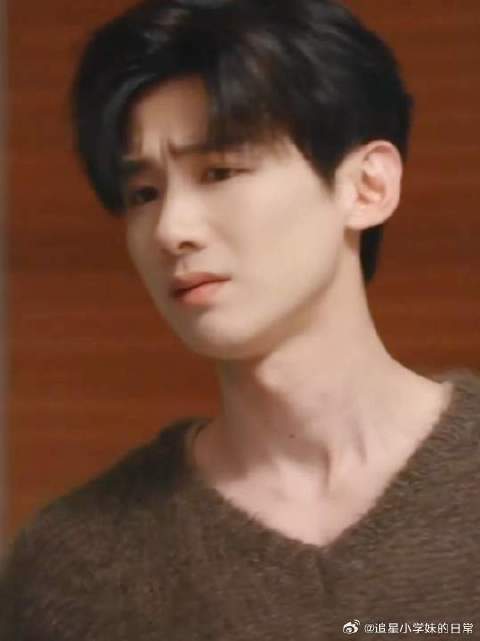 桑延拒帮桑稚带段嘉许回家过年，转身邀温以凡