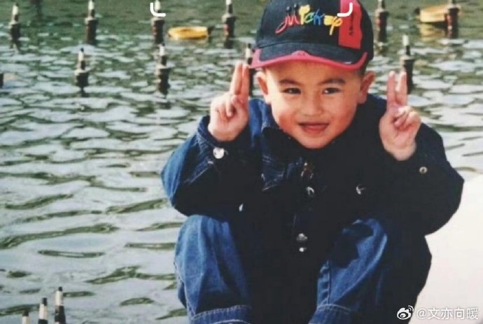 观众对《逐玉》中严屹宽和张凌赫的合作有哪些期待？