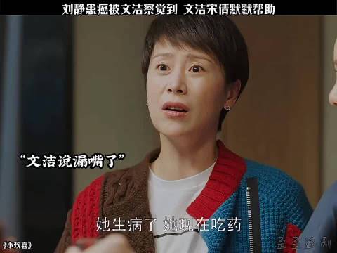 刘静患癌被察觉，文洁宋倩默默帮忙 小欢喜 黄磊陶虹沙溢李庚希周奇海清
