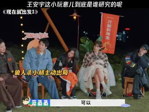 王安宇这小玩意儿到底是谁研究的呢