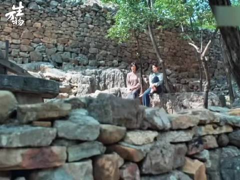 都老了，终于迎来了名场面杨幂蓝盈莹生万物精彩片段