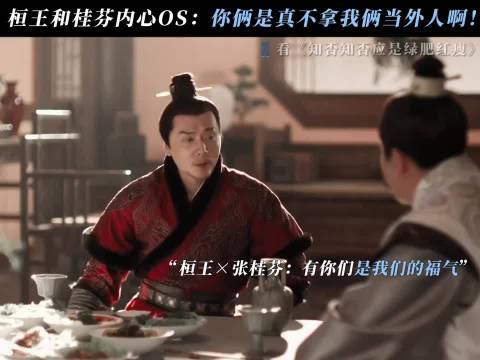 恒王&桂芬：有你这样的朋友真是我的福气 知否知否应是绿肥红瘦