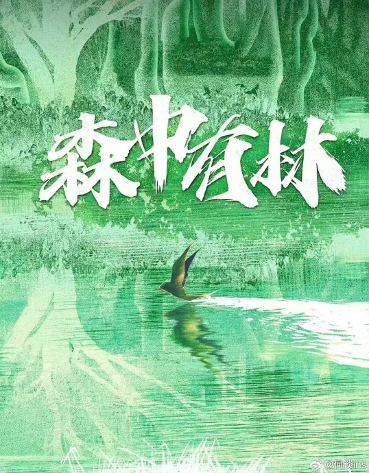 张天爱在《森中有林》中饰演的盲人按摩师，对她演技有什么突破？