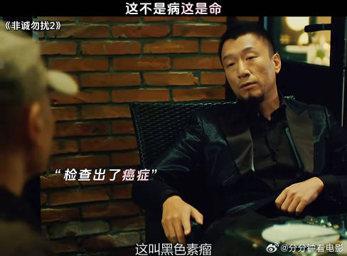 一切都是命运的安排我们只能坦然接受非诚勿扰2鹅