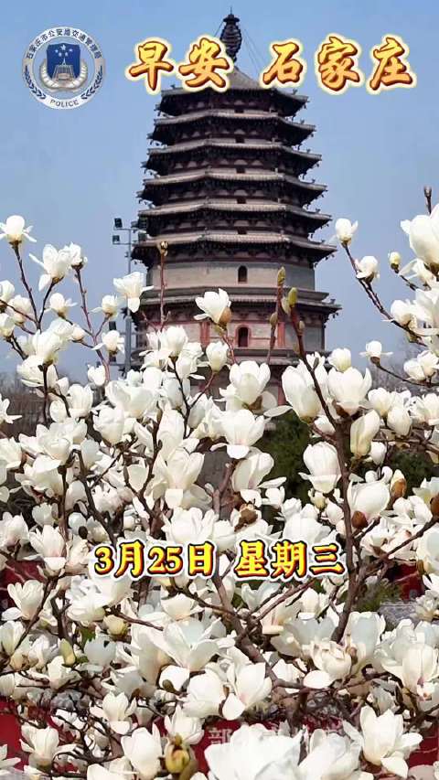 石家庄交警提醒电动自行车远离大货车避免盲区危险