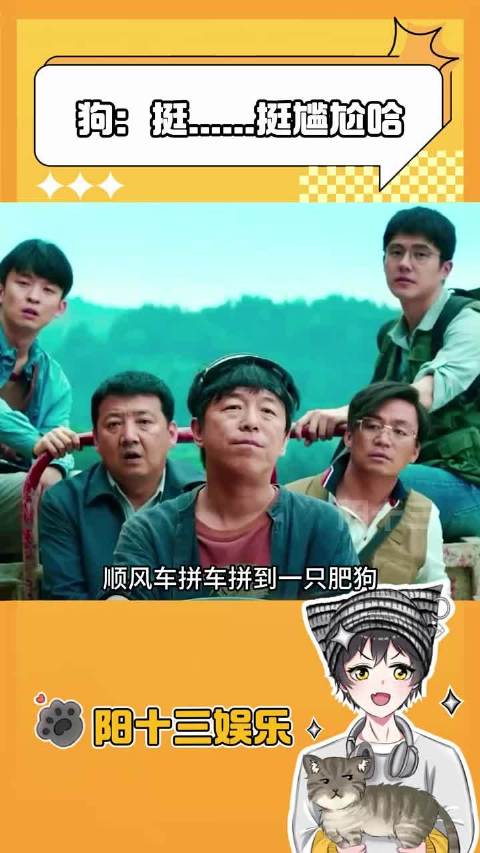 看得出来这狗有点社恐 ！