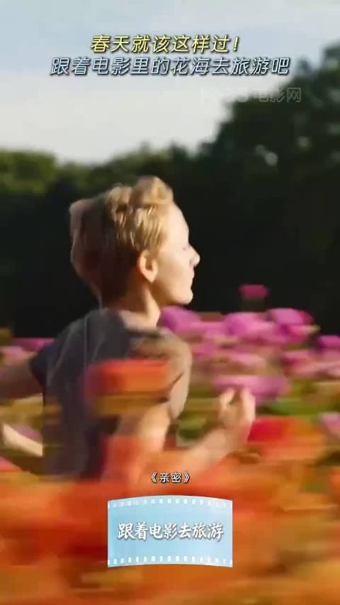 多部影视剧展现春日花海治愈画面