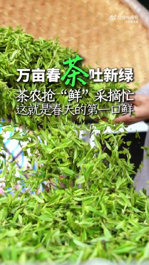 解锁合肥春天的第一口鲜