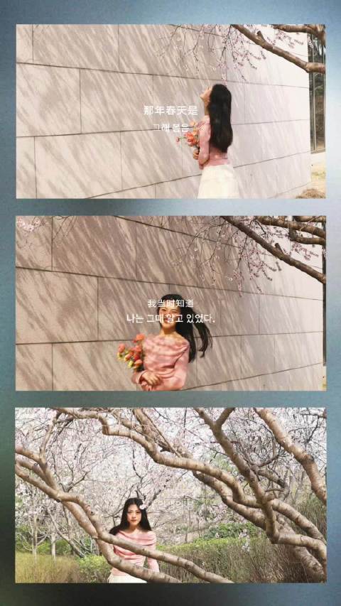 春日不宜出门 容易在花花世界迷失 不想回家 《迷失》