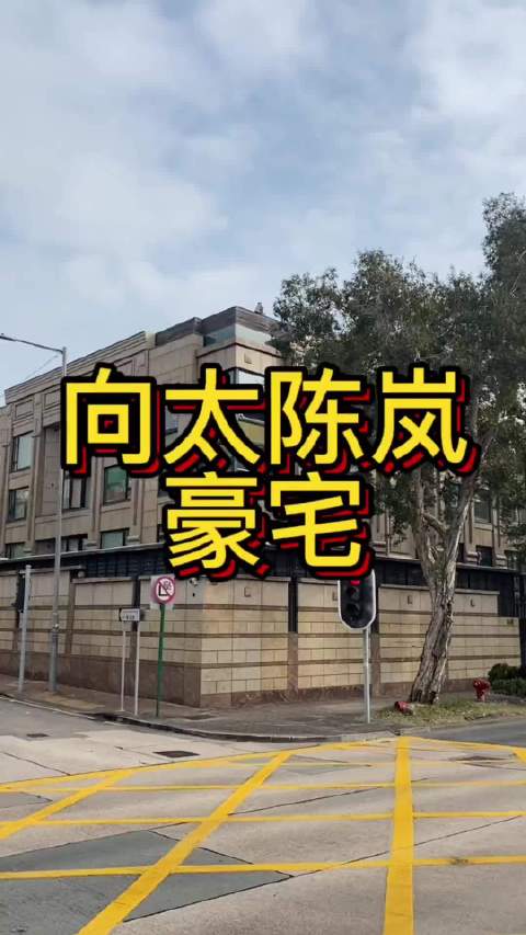 向太自曝月收200万房租，全球置产数十套