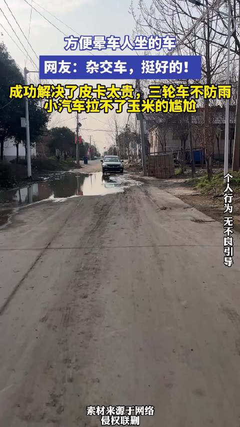 网友点赞杂交车解决皮卡贵三轮车不防雨小汽车难拉玉米难题