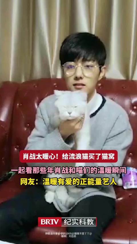 肖战锦州拍戏为流浪猫购置猫窝