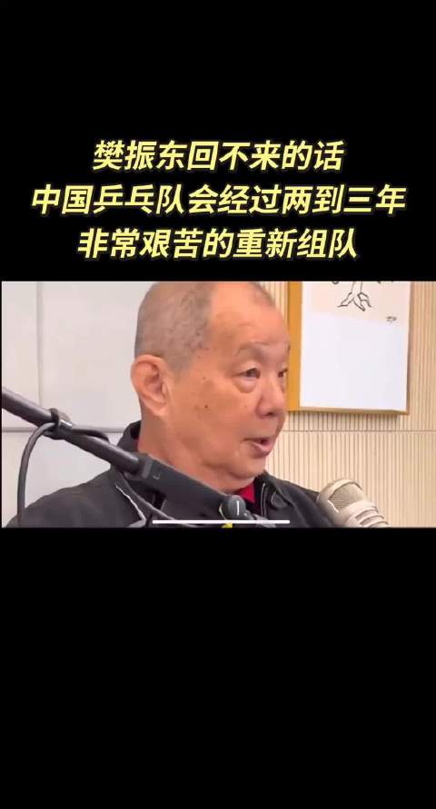 樊振东回归成国乒男队关键，技术标杆与精神领袖缺一不可
