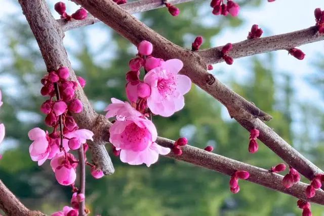 周深、单依纯、陈楚生……这些歌手都要来郑州了!