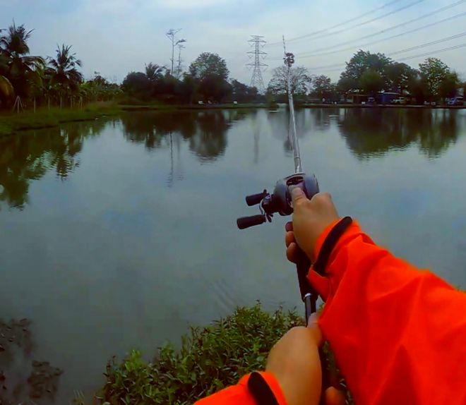 钓鱼界的神雕侠侣!大爷带大娘垂钓的高光时刻,网友:相信爱情了鱼竿大鱼_订阅