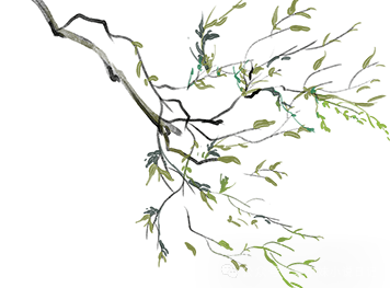 《骄阳似我》by顾漫:一场关于暗恋的小事,一见面,就是一辈子。“我从来都是,为你而来。”宋威龙&赵今麦txt