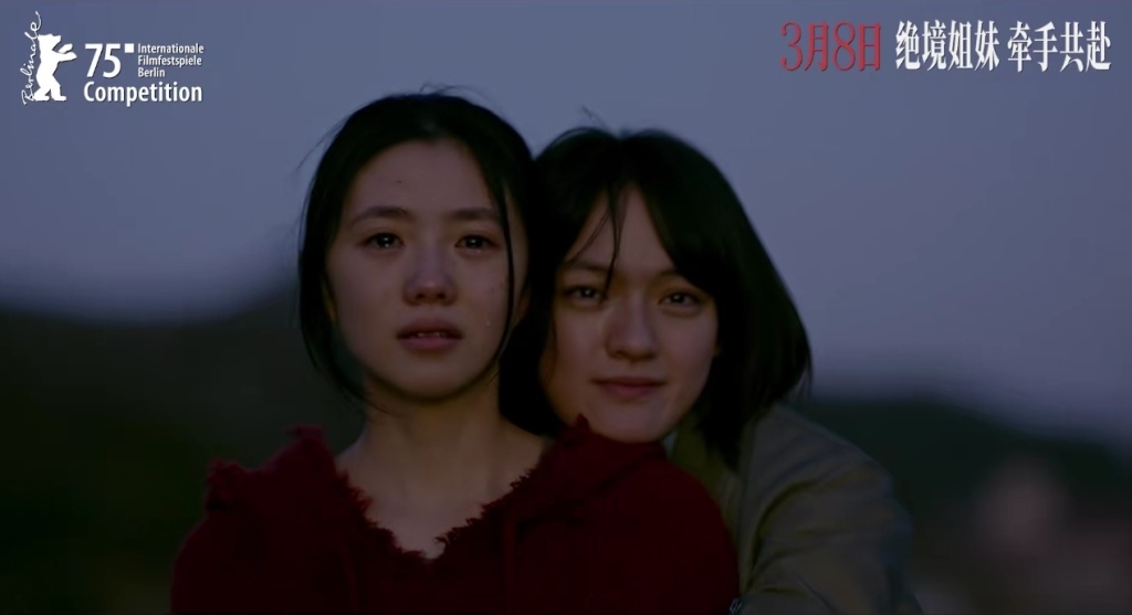 张子枫刘浩存李庚希文淇赵今麦——十字路口的00花