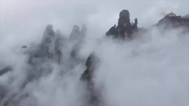 张家界雨后云海宛如仙境，周深歌声相伴