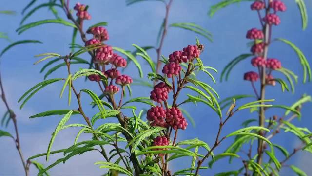 心源性猝死可防可控，日常管理是关键