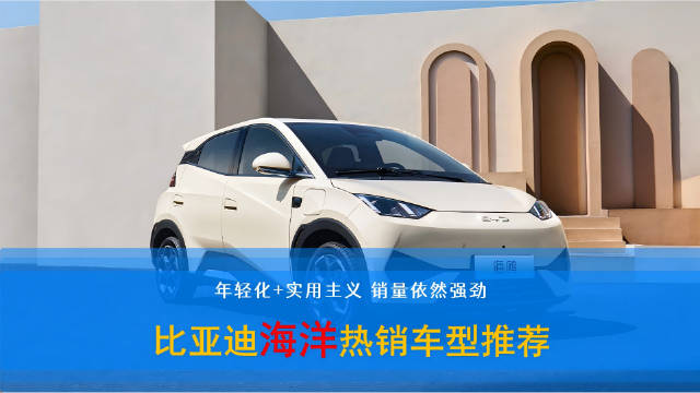 比亚迪海洋网四款热销车型覆盖小型代步车中型轿车SUV