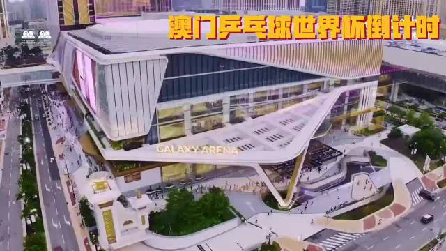 澳门世界杯国乒27日启程，林诗栋格罗特退赛陈垣宇林兆恒递补