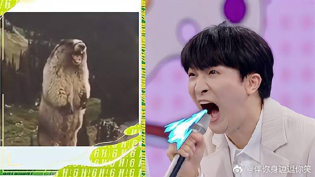 周深王鹤棣放飞自我，爆笑模仿土拨鼠尖叫，笑疯全场！