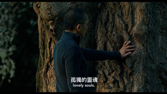 梁朝伟蕾雅赛杜主演《寂静的朋友》释出中文预告，三段人生与银杏树交织