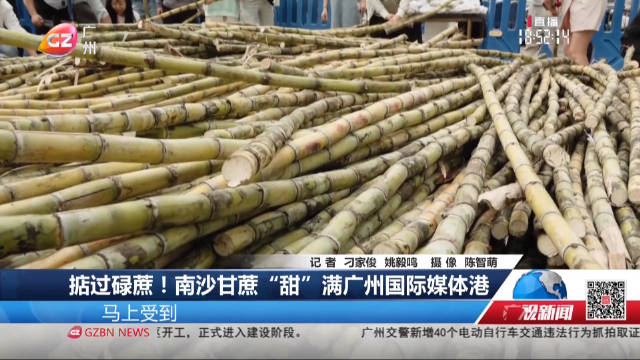 掂过碌蔗！南沙甘蔗“甜”满广州国际媒体港