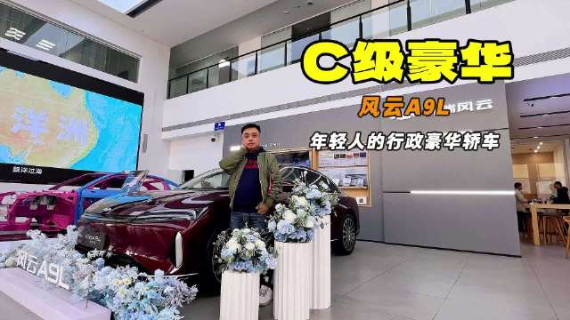 视频：配置丰富 细节质感考究 探店奇瑞风云A9L