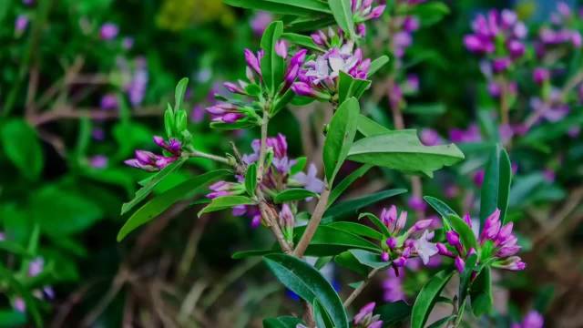 胸闷晕厥或是猝死前兆，专家提醒高风险人群警惕