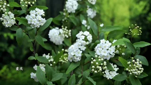 女子长期高盐饮食突发心梗离世，医生提醒减盐技巧