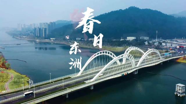 春日之美！一草一木皆是杭城温柔诗意