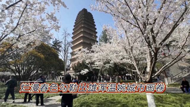 烂漫春色勾勒出雄浑温婉城市画卷