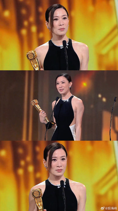 佘诗曼在《新闻女王2》中的表现获得了哪些职业成就？