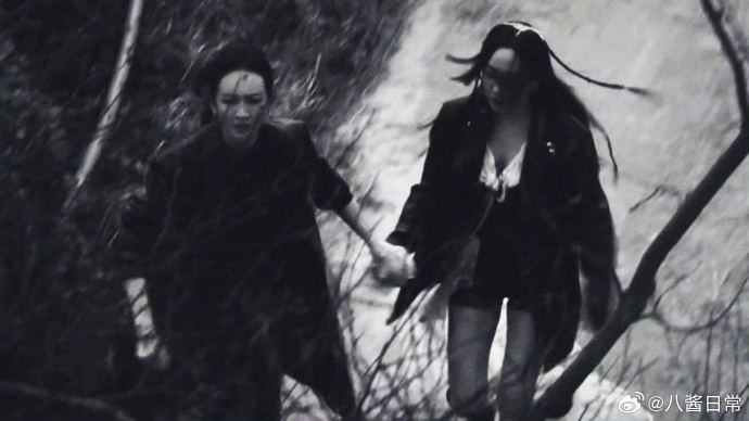 为什么观众如此喜爱《大侦探》中王鸥和杨蓉的“蓉鸥”组合？