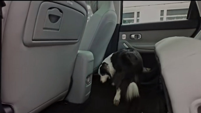 陈都灵作为车主，评价零跑A10时为何如此共情？