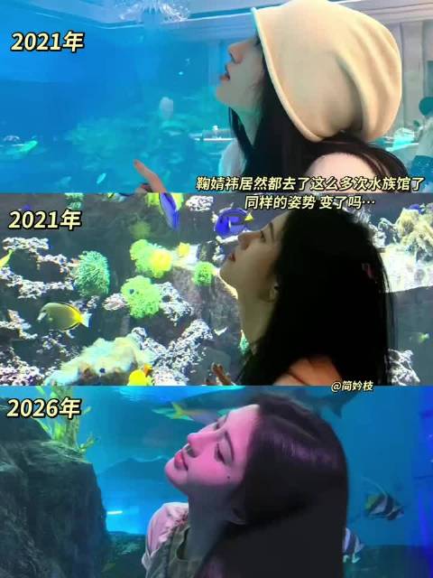 鞠婧祎多次打卡水族馆，灵动甜美氛围治愈
