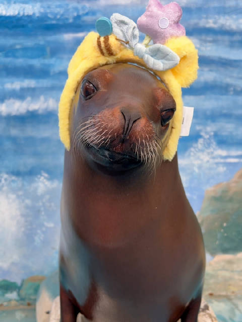 又是美好的一天