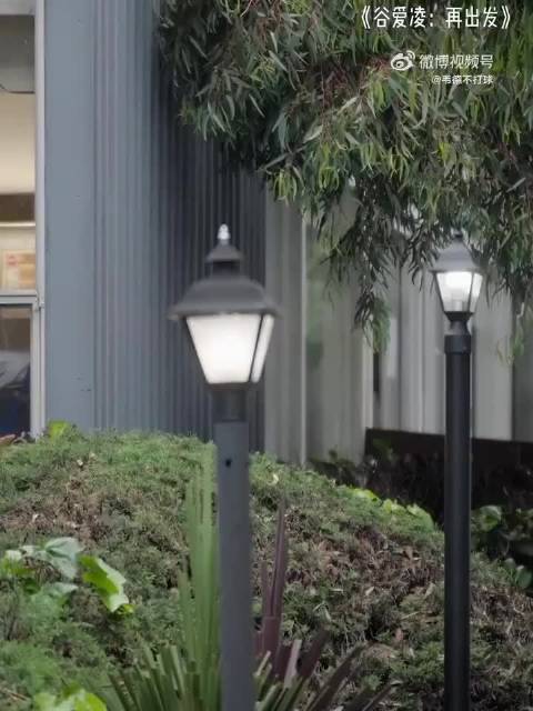 谷爱凌外婆展现董明珠式狠劲与认知高度