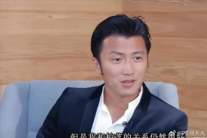 谢霆锋如何评价或参与张柏芝对孩子们的教育？