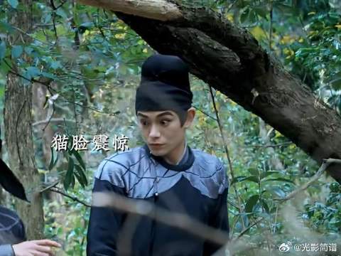 李饼与动物们奇奇怪怪的对话