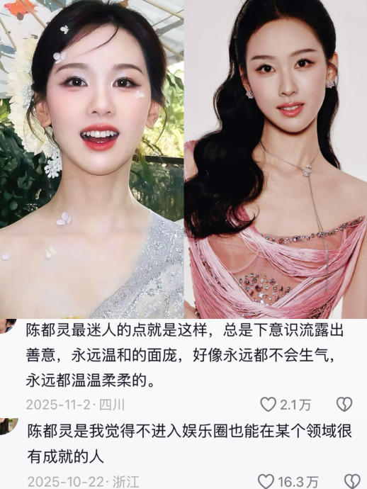 陈都灵的工科背景如何影响了她的职业选择？