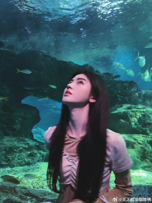 鞠婧祎在海底世界拍摄的具体造型和场景是怎样的？