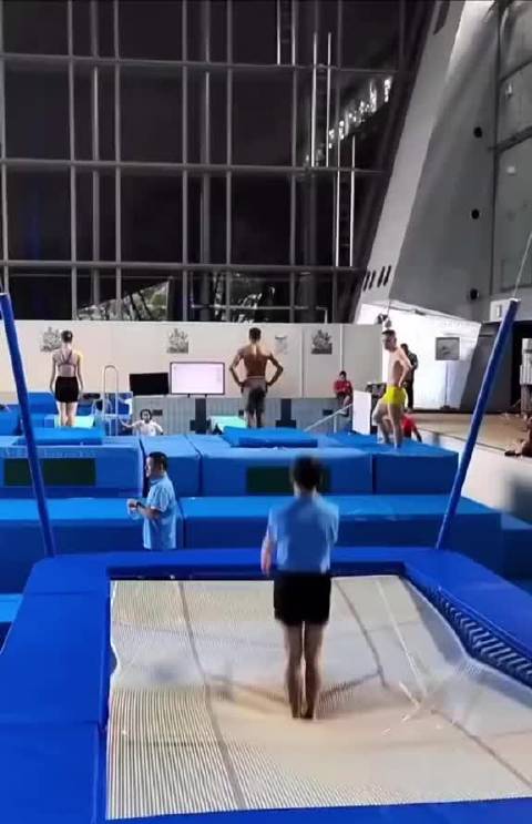 全红婵极致天赋与努力成就惊人弹跳稳定性