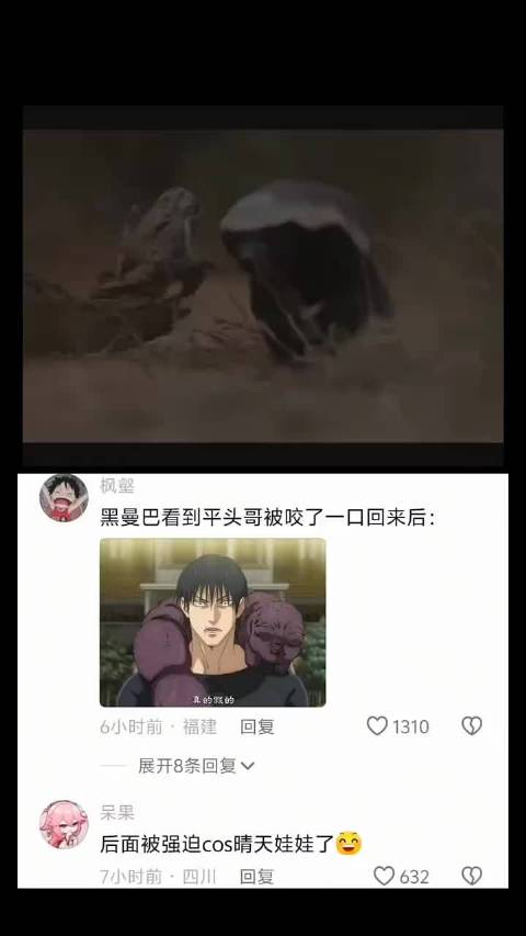 平头哥：上头啊，黑曼巴的毒液太养生了，我得找到它让它多咬几口