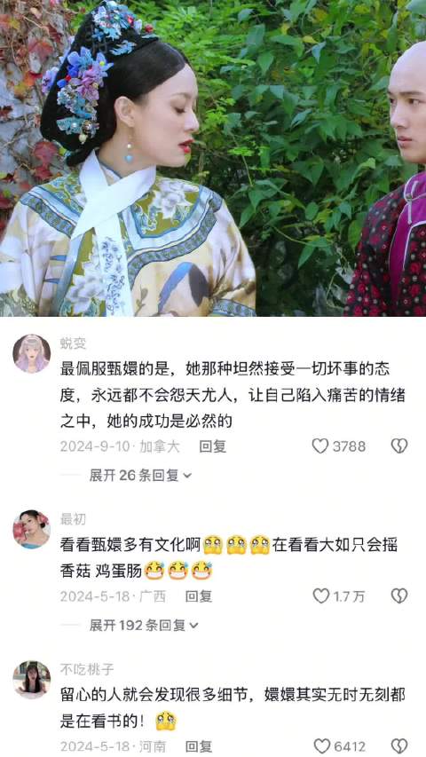 下饭剧推荐丨国产剧推荐丨甄嬛传十级观众